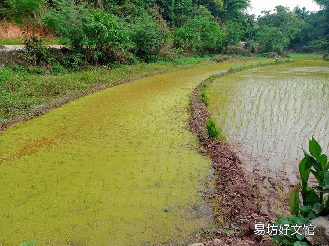 农民种地一年收入不如外出打工一个月,为什么还要种地呢?