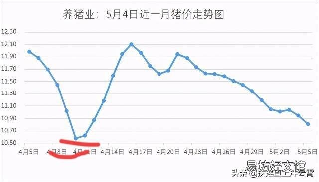 2021年5月15号前猪价回升吗？
