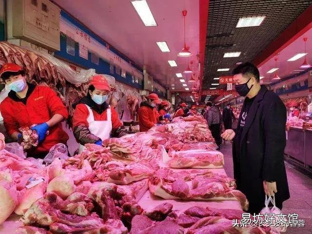 十天后猪价能涨吗?