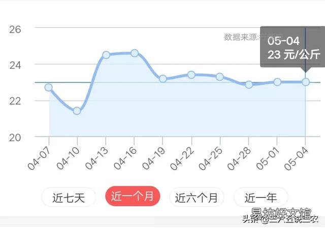 十天后猪价能涨吗?