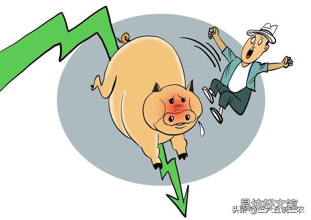 十天后猪价能涨吗?