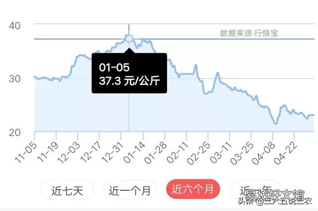 十天后猪价能涨吗?