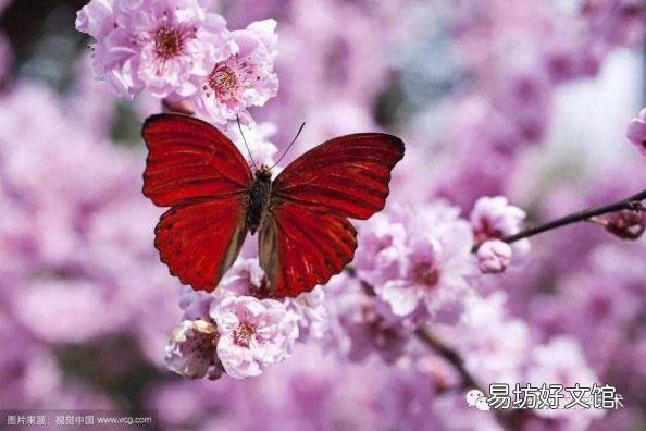 为医消得人憔悴陆故之 为伊消得人憔悴的上一句