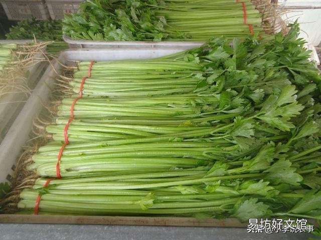 芹菜的产量上不去该怎么办？