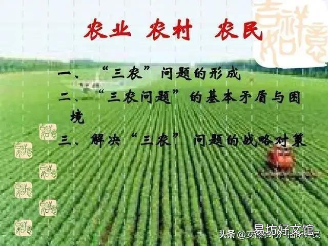 玉米苗水淹矮小发黄还要喷助壮素吗?