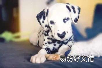 陶喆爱很简单mp3下载 陶喆就是爱你的歌词