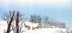 金色的脚印主要概括 金色的脚印主要内容