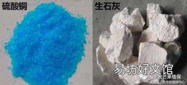 怎样配制波尔多液最好 波尔多液配制方法