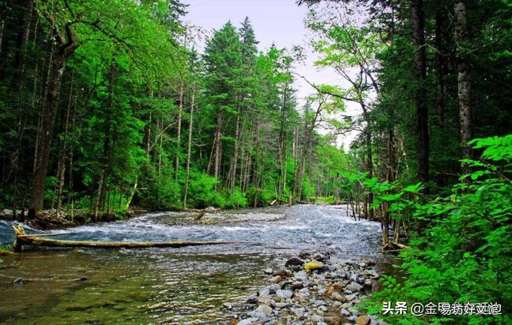 东北山货特产 东北山货