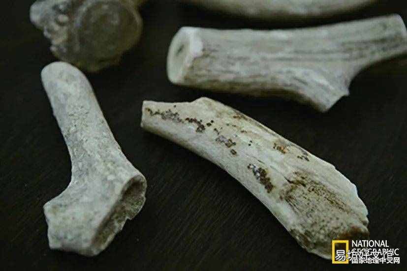 怎样判断古琴的音色好不好 古琴的音色