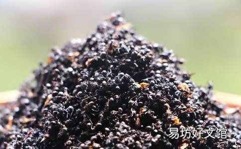 黑蚂蚁的副作用和禁忌 黑蚂蚁怎么吃