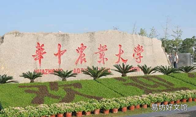 乌鸦反哺的真实原因 乌鸦反哺的意思