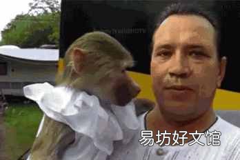 最贵的话打一成语 最大的容量打一成语