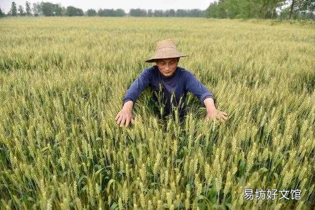 二十四节气表时间表 立夏时间