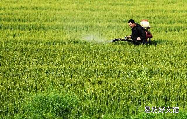 二十四节气表时间表 立夏时间