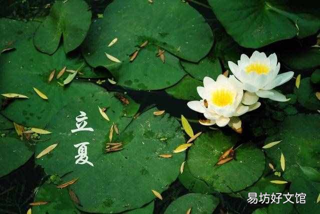 二十四节气表时间表 立夏时间
