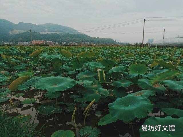 二十四节气表时间表 立夏时间