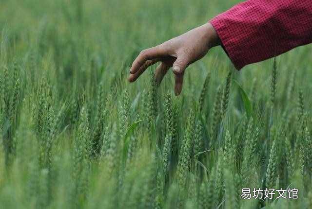 二十四节气表时间表 立夏时间