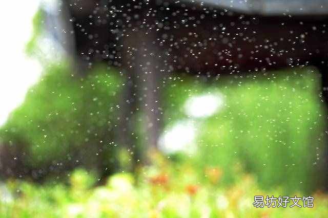 二十四节气表时间表 立夏时间