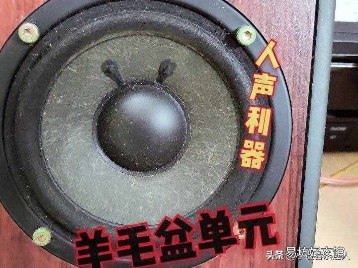国内什么品牌音响好 国产音响品牌