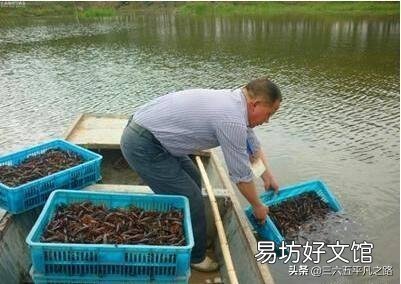 今年龙虾和螃蟹价格低迷,明年还会养吗?