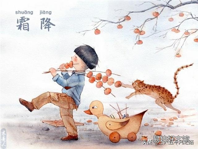 快霜降了,农村老家下雨,影响收获红薯怎么办?