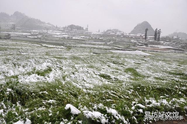 大雪节气将至,农村俗语:大雪兆丰年,无雪要遭殃,说的有没有道理呢?