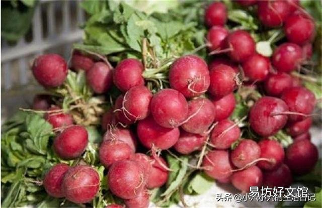 樱桃萝卜长相可爱，口感清脆，卖价如何，现在种植有市场前景吗？