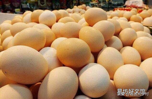 预计未来鸡蛋价格怎样?