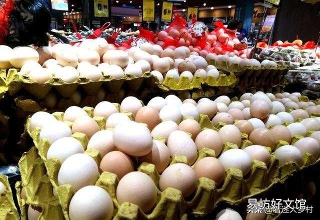 预计未来鸡蛋价格怎样?