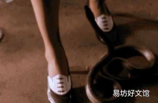 鼻烟胶卷在线观看 鼻烟胶卷