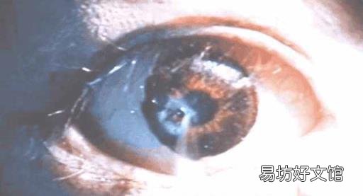 鼻烟胶卷在线观看 鼻烟胶卷