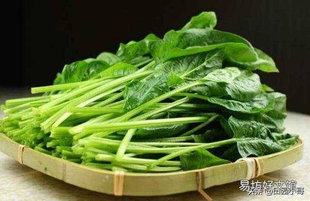 刚种的菠菜,叶片长出来后不久就开花了,而且菠菜很小。是不是和路灯有关系?
