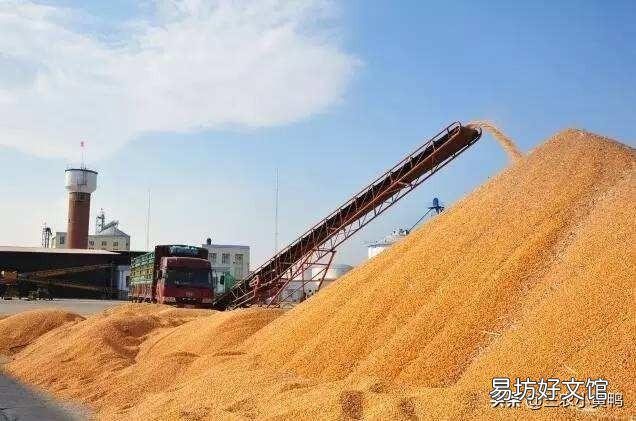 19年水稻能涨价吗?