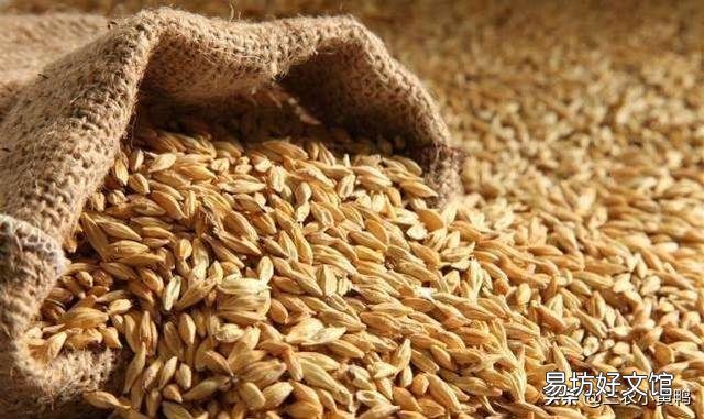 19年水稻能涨价吗?