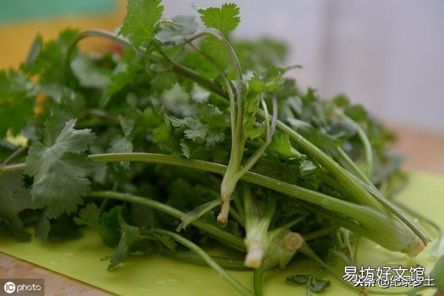 现在季节该种什么莱?