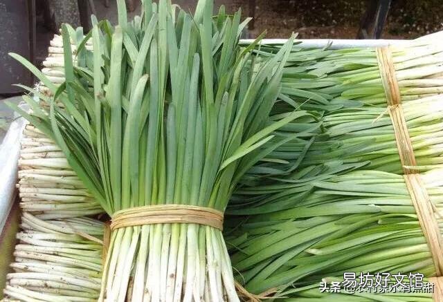 韭菜收割之后,可以施加肥料吗?