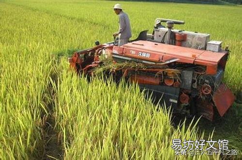 秋分节气农事有什么显著的特点?