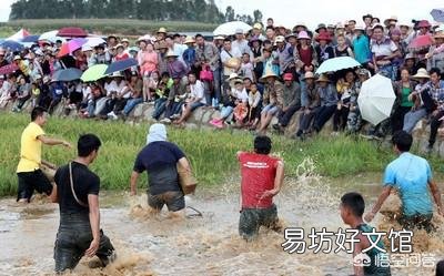 到处说稻花鱼好是不是误导人?水稻田的稻花鱼的化肥农药残留会不会比塘鱼河鱼要高?