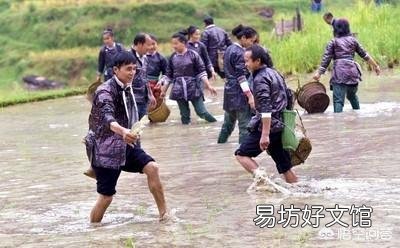 到处说稻花鱼好是不是误导人?水稻田的稻花鱼的化肥农药残留会不会比塘鱼河鱼要高?