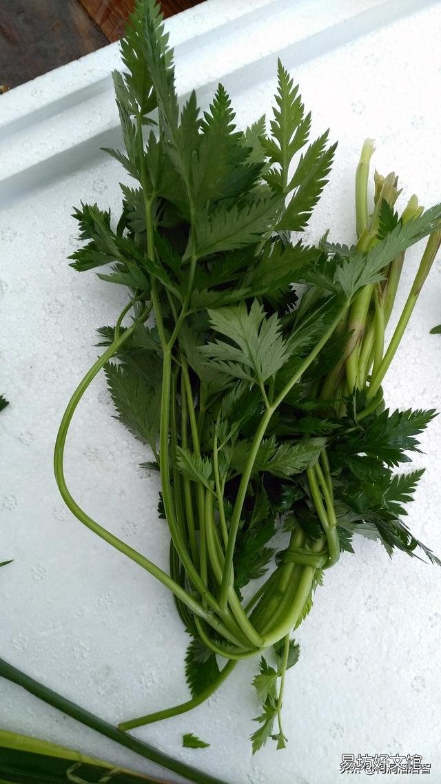到处说稻花鱼好是不是误导人?水稻田的稻花鱼的化肥农药残留会不会比塘鱼河鱼要高?
