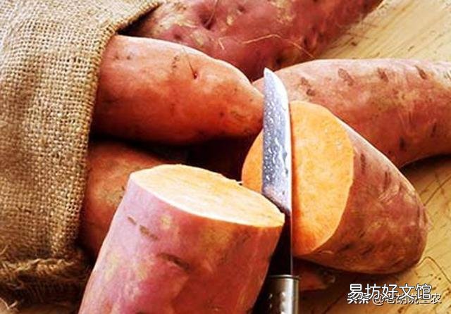 农村老话“白露田间和稀泥,红薯一天长一皮”是什么意思?有道理吗?
