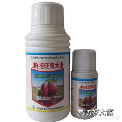 谁能告诉我!地瓜蔓到底应不应该翻,翻了究竟增产还是减产?