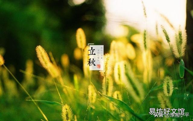 农村讲究的“立秋三不做”大家知道吗？具体指的是什么？
