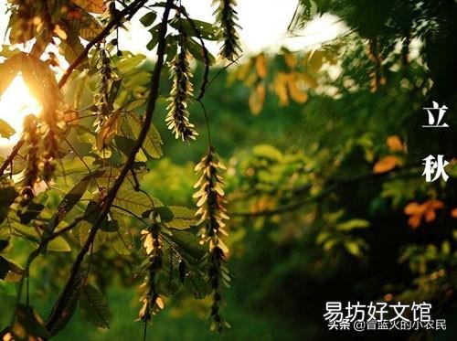 农村俗语：“立秋早晚凉，中午汗湿裳”，立秋的时候天气还热吗？为什么？