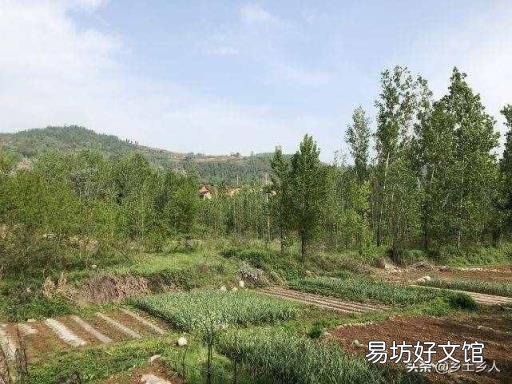 小暑是什么意思? 大暑代表什么