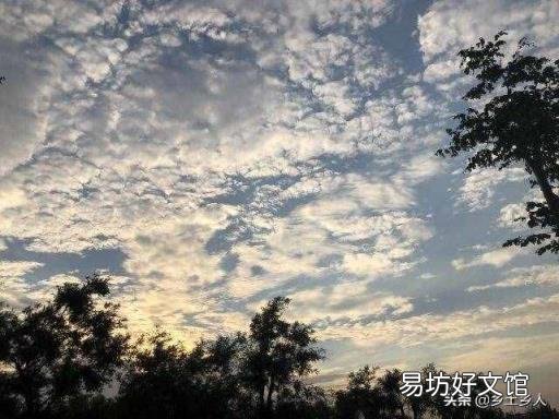 小暑是什么意思? 大暑代表什么