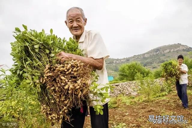 农村俗语：“立秋有雨丘丘收，立秋无雨人人忧”什么意思？