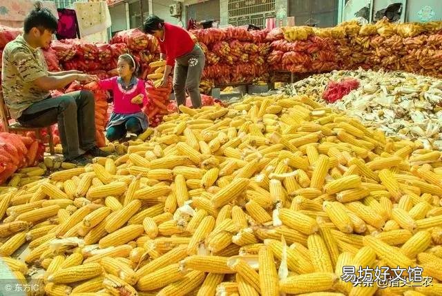 农村俗语：“立秋有雨丘丘收，立秋无雨人人忧”什么意思？