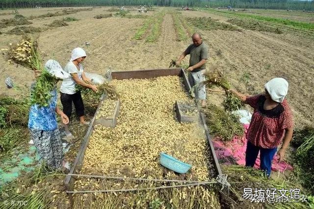 农村俗语：“立秋有雨丘丘收，立秋无雨人人忧”什么意思？